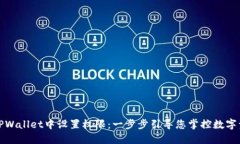 如何在TPWallet中设置权限：一步步引导您掌控数字