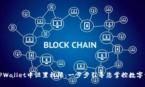 如何在TPWallet中设置权限：一步步引导您掌控数字资产安全