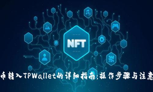 人民币转入TPWallet的详细指南：操作步骤与注意事项