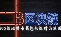 探索iOS端比特币钱包的选择与使用技巧