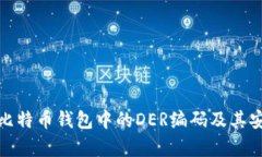 深入解析比特币钱包中的DER编码及其安全性影响