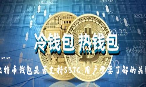 !--  --
探讨比特币钱包是否支持SBTC：用户需要了解的关键因素