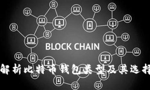 全面解析比特币钱包类型及其选择指南