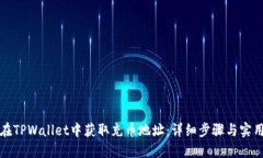 如何在TPWallet中获取充币地址：详细步骤与实用指