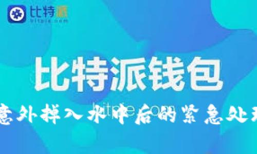 手机比特币钱包意外掉入水中后的紧急处理与数据恢复指南