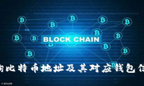 如何高效查询比特币地址及其对应钱包信息：全面指南