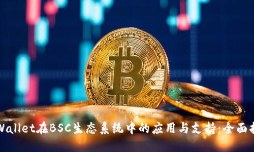 TPWallet在BSC生态系统中的应用与支持：全面指南