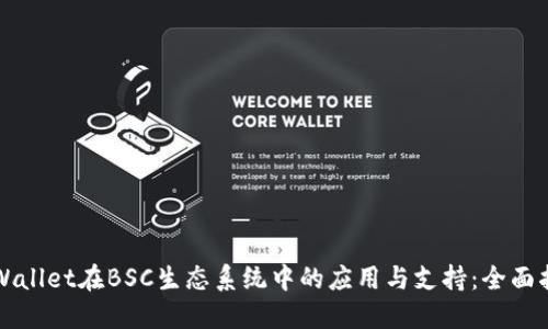 TPWallet在BSC生态系统中的应用与支持：全面指南