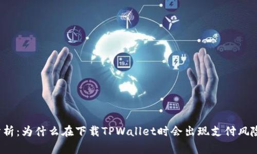 深入分析：为什么在下载TPWallet时会出现支付风险警告？