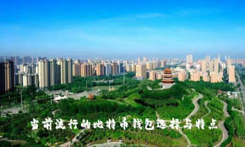 当前流行的比特币钱包选择与特点