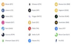 如何安全高效地使用比特币钱包的代理：全面指