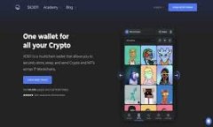 深入剖析比特币脑钱包：安全性、使用方法与潜