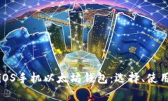 全面解析iOS手机以太坊钱包：选择、使用与安全