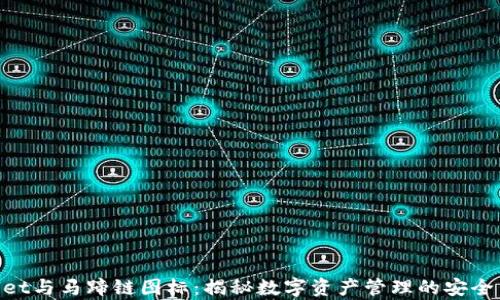 
tpwallet与马蹄链图标：揭秘数字资产管理的安全与便捷