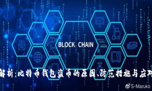 深入解析：比特币钱包盗币的原因、防范措施与应对策略
