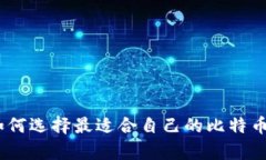 全面解析：如何选择最适合自己的比特币区块链