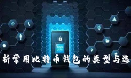 全面解析常用比特币钱包的类型与选择指南