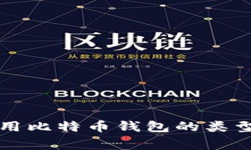 全面解析常用比特币钱包的类型与选择指南