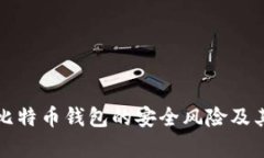 全面解析比特币钱包的安全风险及其解决方案