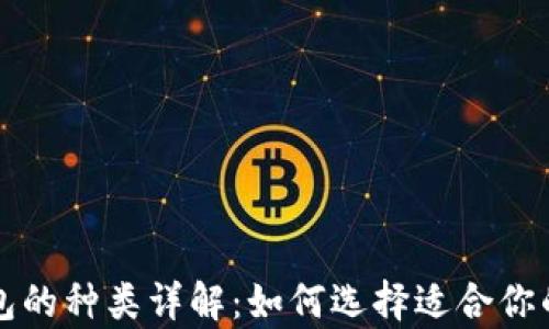 
比特币钱包的种类详解：如何选择适合你的存储方式