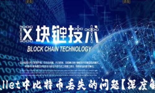 
如何应对TPWallet中比特币丢失的问题？深度解析与解决方案