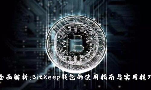全面解析：BitKeep钱包的使用指南与实用技巧