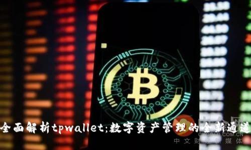 全面解析tpwallet：数字资产管理的全新通道