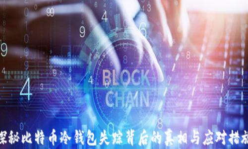 
探秘比特币冷钱包失踪背后的真相与应对措施