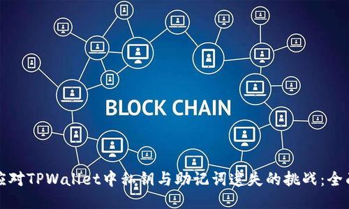 如何应对TPWallet中私钥与助记词遗失的挑战：全面指南