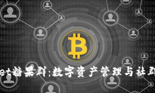 深入了解TPWallet糖果群：数字资产管理与社群互动的完美结合