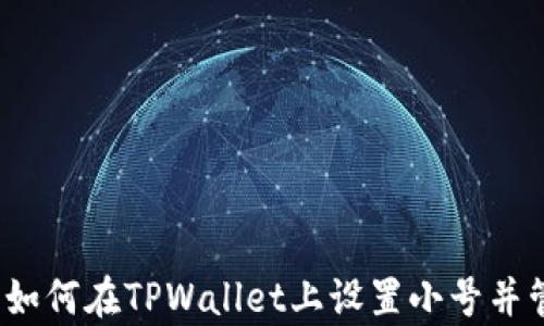 
全面解析：如何在TPWallet上设置小号并管理多账户