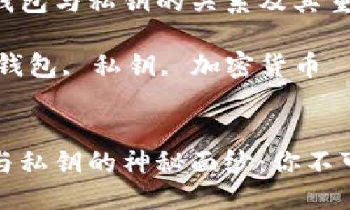 思考一个吸引用户

详细介绍比特币钱包与私钥的关系及其重要性

关键词：比特币, 钱包, 私钥, 加密货币


揭开比特币钱包与私钥的神秘面纱：你不可不知的安全秘诀