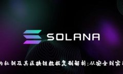 比特币钱包的私钥及其区块链数据复制解析：从