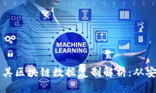 比特币钱包的私钥及其区块链数据复制解析：从安全到实用的全面指南