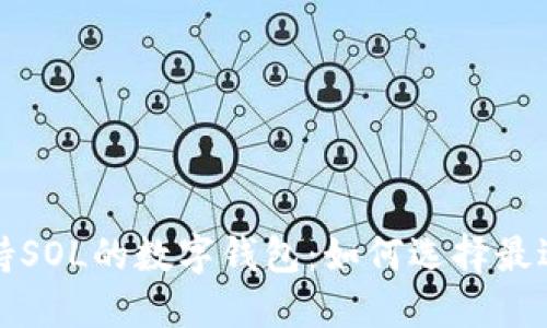 全面了解支持SOL的数字钱包：如何选择最适合你的选项