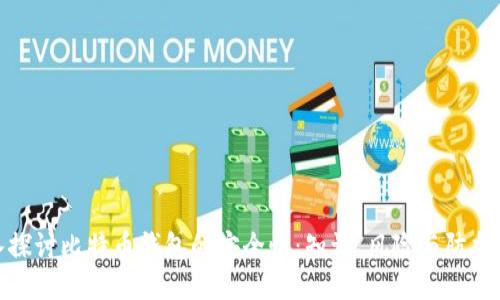 深入探讨比特币钱包的安全性：知识、风险与防护措施