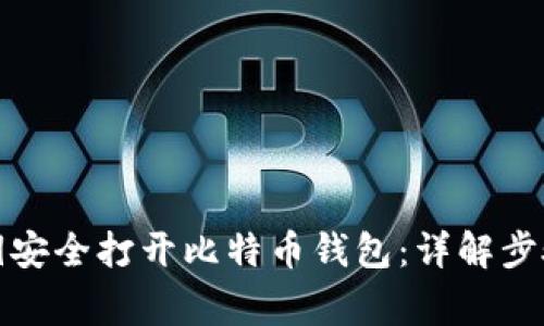 如何使用密钥安全打开比特币钱包：详解步骤与注意事项